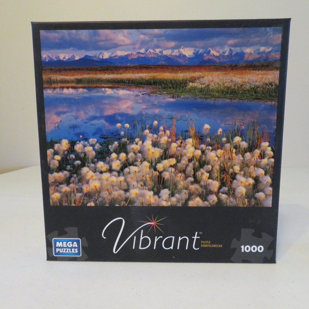 1000 Piece Jigsaw Puzzle